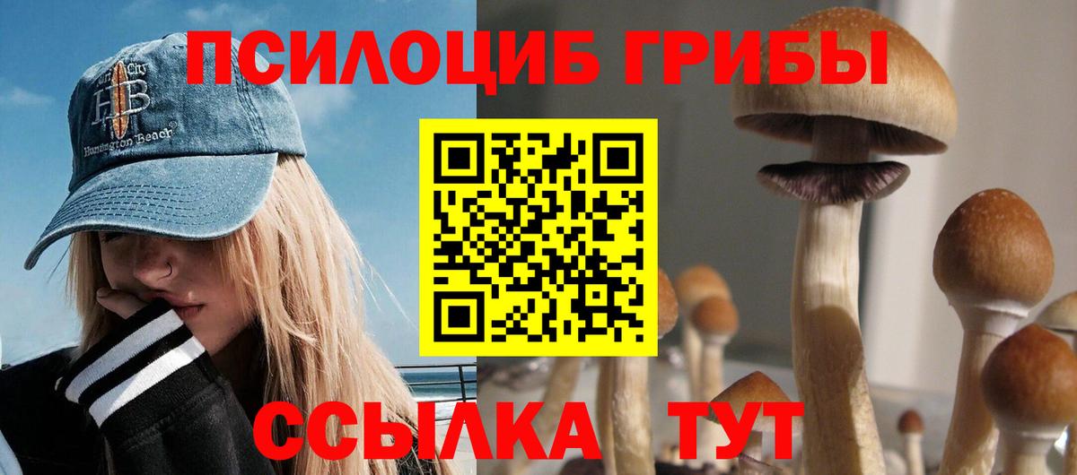 Псилоцибиновые грибы GOLDEN TEACHER Приморско-Ахтарск