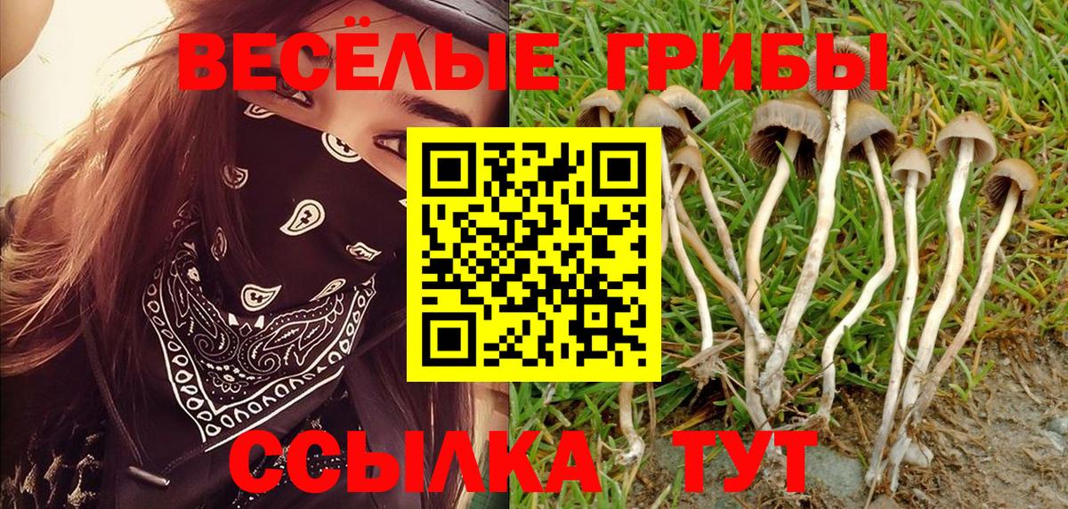 даркнет сайт  Галлюциногенные грибы MAGIC MUSHROOMS  Приморско-Ахтарск  Вход с VPN  Галлюциногенные грибы Magic Shrooms 